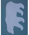 a_polarbearartcam_p1.jpg