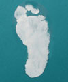 c_footprintshoe_p1.jpg