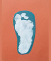 c_footprintshoe_p2.jpg
