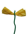 c_growingflower_p2.jpg