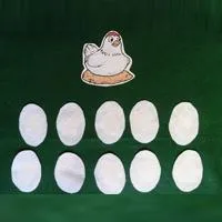 a_10EggsFelt_large.jpg