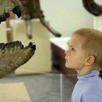 a_dinospiele_large.jpg