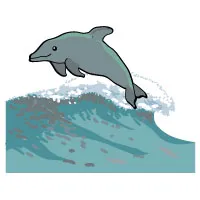 r_waterrhymes_large.jpg