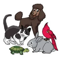 r_pets_large.jpg