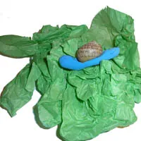 a_snailposit_large.jpg