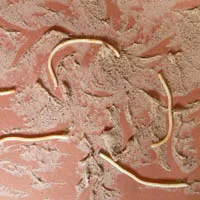 c_burrowart_large.jpg