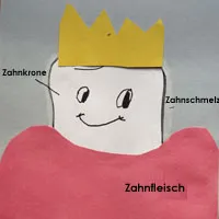 c_partstoothart_large.jpg