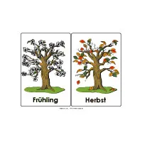 a_treeseasons_large.jpg