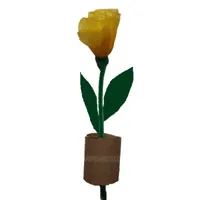 c_growingflower_large.jpg