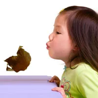 a_leafblow_large.jpg