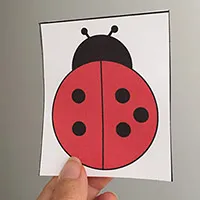 a_Ladybug-dots_large.jpg