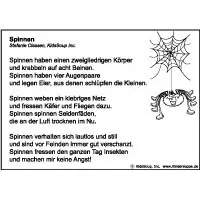 a_Spinnenhabreim_large.jpg