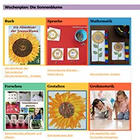 a_WP-Sonnenblume_large.jpg