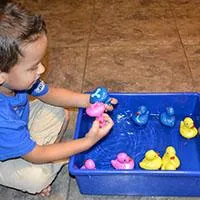 a_ducks-letters_large.jpg