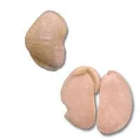 a_seedscience_large_0.jpg