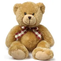 a_teddybear_large.jpg