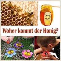 a_woher-honig-lekt_large.jpg