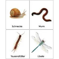 r_critterhunt_large.jpg