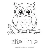die Eule - Ausmalbild fur kinder