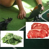 a_carnivore-herbivore_large.jpg